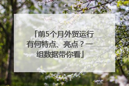 前5个月外贸运行有何特点、亮点？一组数据带你看