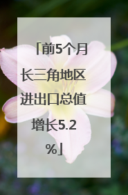 前5个月长三角地区进出口总值增长5.2%