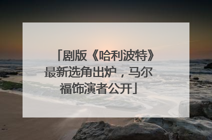 剧版《哈利波特》最新选角出炉，马尔福饰演者公开