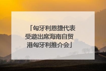 匈牙利恩捷代表受邀出席海南自贸港匈牙利推介会