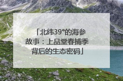 北纬39°的海参故事：上品堂春捕季背后的生态密码