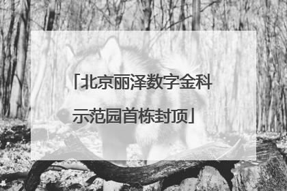 北京丽泽数字金科示范园首栋封顶