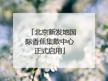北京新发地国际香蕉集散中心正式启用