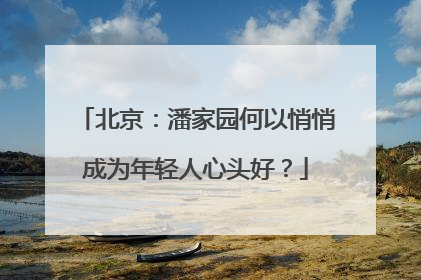 北京：潘家园何以悄悄成为年轻人心头好？