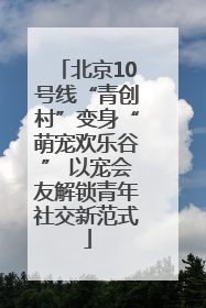 北京10号线“青创村”变身“萌宠欢乐谷” 以宠会友解锁青年社交新范式