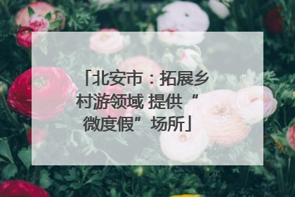 北安市：拓展乡村游领域 提供“微度假”场所
