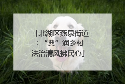 北湖区燕泉街道：“典”润乡村 法治清风拂民心