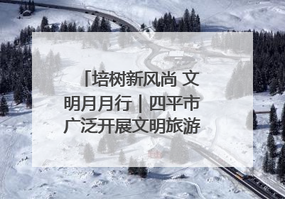 培树新风尚 文明月月行｜四平市广泛开展文明旅游主题实践活动