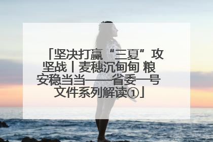 坚决打赢“三夏”攻坚战丨麦穗沉甸甸 粮安稳当当——省委一号文件系列解读①