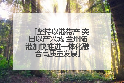 坚持以港带产 突出以产兴城 兰州陆港加快推进一体化融合高质量发展
