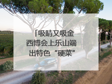 吸睛又吸金 西博会上乐山端出特色“硬菜”｜西博视界
