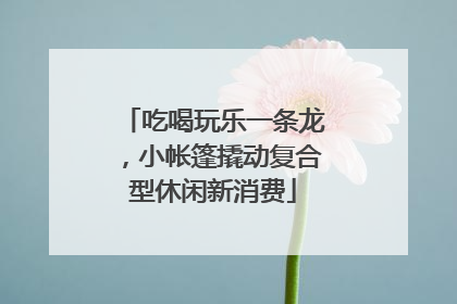 吃喝玩乐一条龙，小帐篷撬动复合型休闲新消费