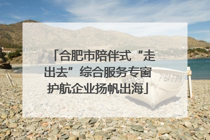 合肥市陪伴式“走出去”综合服务专窗护航企业扬帆出海