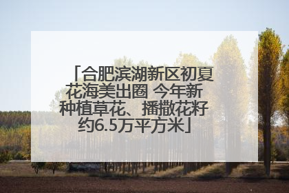 合肥滨湖新区初夏花海美出圈 今年新种植草花、播撒花籽约6.5万平方米