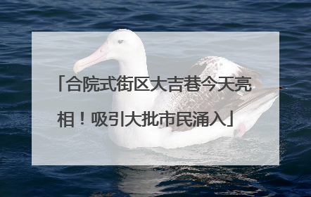 合院式街区大吉巷今天亮相！吸引大批市民涌入