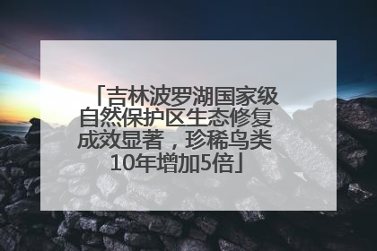 吉林波罗湖国家级自然保护区生态修复成效显著，珍稀鸟类10年增加5倍