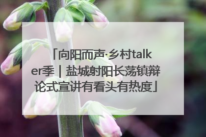 向阳而声·乡村talker季｜盐城射阳长荡镇辩论式宣讲有看头有热度
