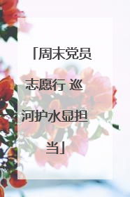 周末党员志愿行 巡河护水显担当