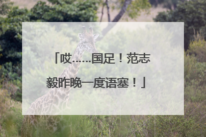 哎……国足！范志毅昨晚一度语塞！