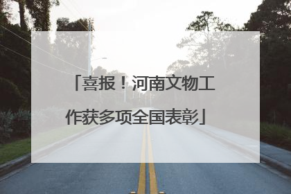喜报！河南文物工作获多项全国表彰