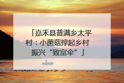 嘉禾县普满乡太平村：小菌菇撑起乡村振兴“致富伞”