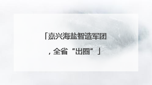 嘉兴海盐智造军团，全省“出圈”