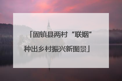 固镇县两村“联姻”种出乡村振兴新图景