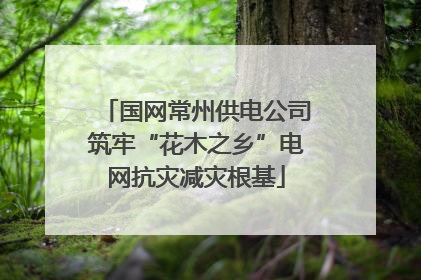 国网常州供电公司筑牢“花木之乡”电网抗灾减灾根基