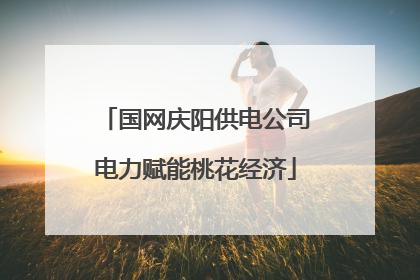 国网庆阳供电公司电力赋能桃花经济