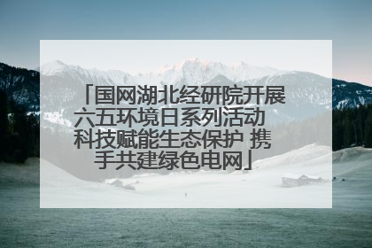 国网湖北经研院开展六五环境日系列活动 科技赋能生态保护 携手共建绿色电网