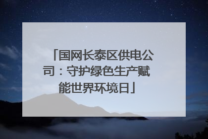 国网长泰区供电公司：守护绿色生产赋能世界环境日