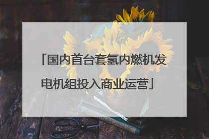 国内首台套氢内燃机发电机组投入商业运营