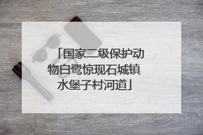 国家二级保护动物白鹭惊现石城镇水堡子村河道