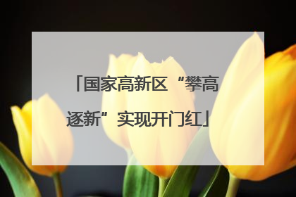 国家高新区“攀高逐新”实现开门红