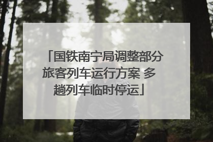 国铁南宁局调整部分旅客列车运行方案 多趟列车临时停运
