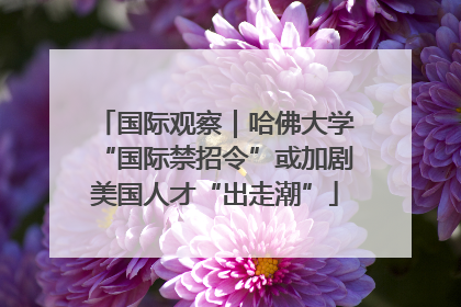 国际观察｜哈佛大学“国际禁招令”或加剧美国人才“出走潮”