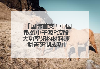 国际首支！中国散裂中子源P波段大功率超构材料速调管研制成功