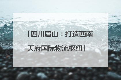 四川眉山：打造西南天府国际物流枢纽