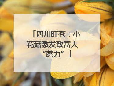 四川旺苍：小花菇激发致富大“蘑力”