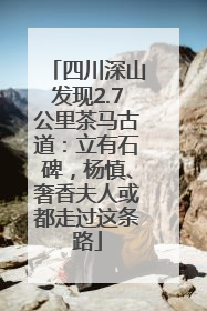 四川深山发现2.7公里茶马古道：立有石碑，杨慎、奢香夫人或都走过这条路