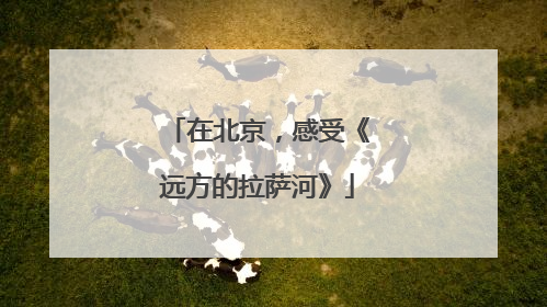 在北京，感受《远方的拉萨河》