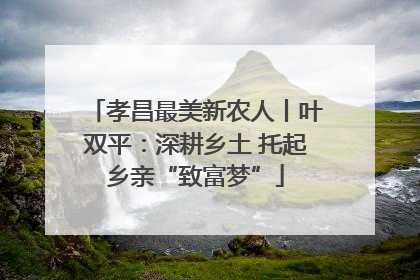 孝昌最美新农人丨叶双平：深耕乡土 托起乡亲“致富梦”
