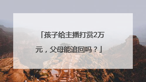 孩子给主播打赏2万元，父母能追回吗？