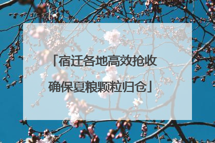 宿迁各地高效抢收 确保夏粮颗粒归仓