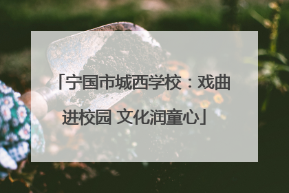 宁国市城西学校：戏曲进校园 文化润童心