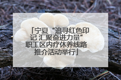 宁夏“追寻红色印记 汇聚奋进力量”职工区内疗休养线路推介活动举行