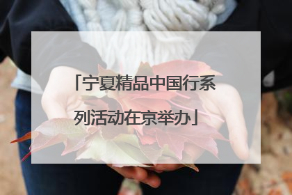 宁夏精品中国行系列活动在京举办