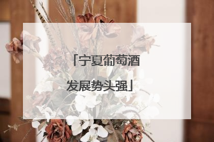 宁夏葡萄酒发展势头强