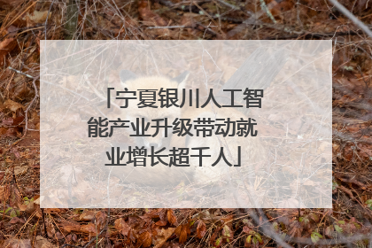 宁夏银川人工智能产业升级带动就业增长超千人
