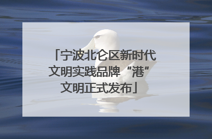 宁波北仑区新时代文明实践品牌“港”文明正式发布